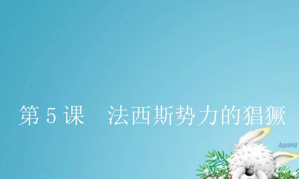 九年级历史下册 法西斯势力的猖獗课件 人教新课标版 课件