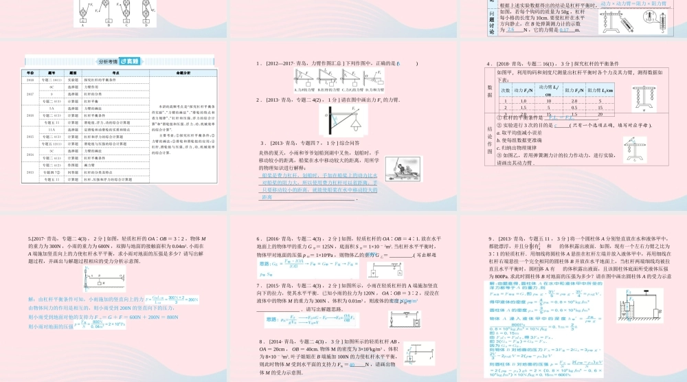 中考物理总复习 八下 第11讲 简单机械课件