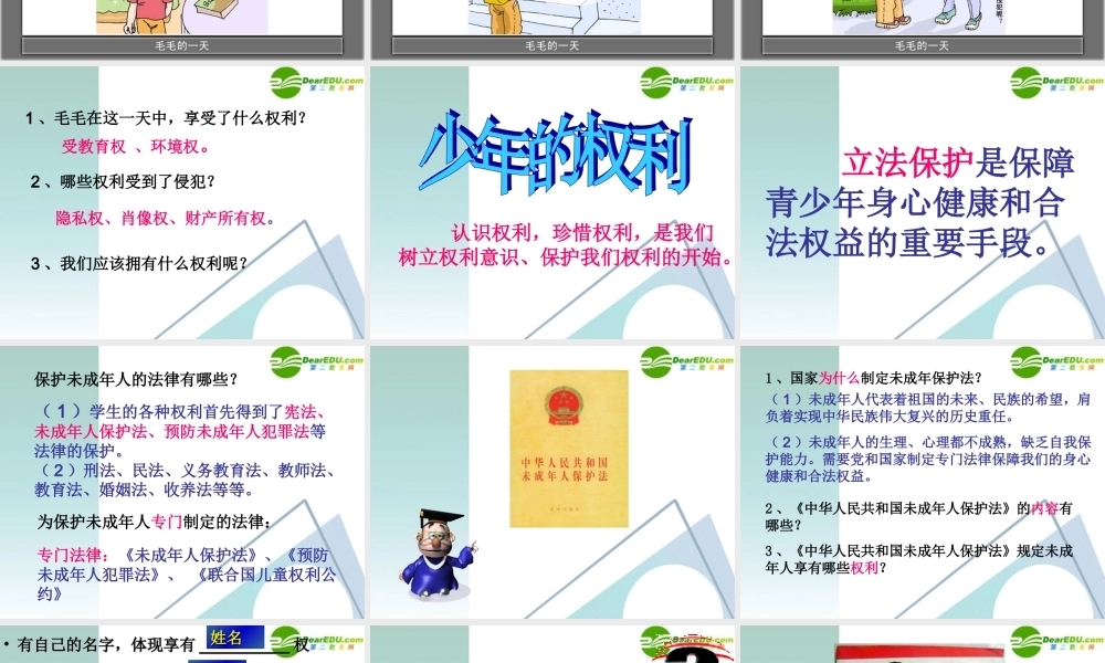 七年级政治下册 少年的权利课件 教科版 课件