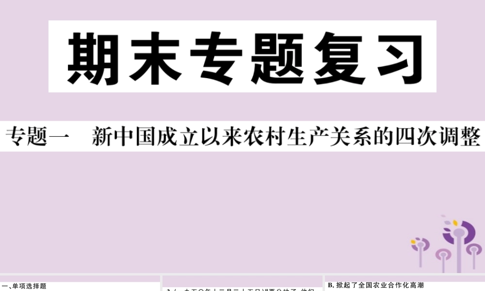 (玉林专版)八年级历史下册 专题一 新中国成立以来农村生产关系的四次调整习题课件 新人教版 课件