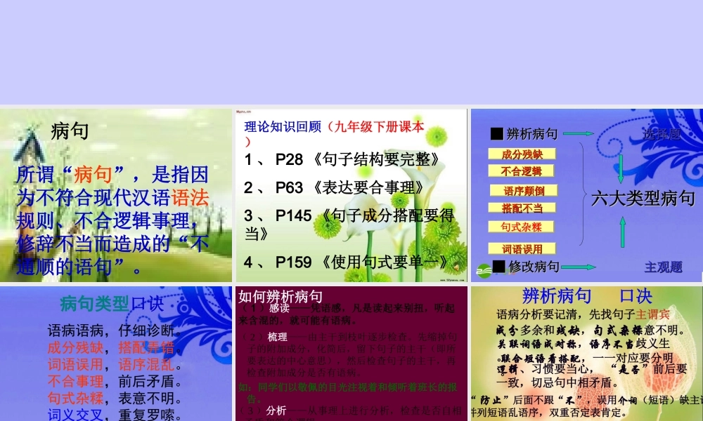 中考语文复习 病句修改课件
