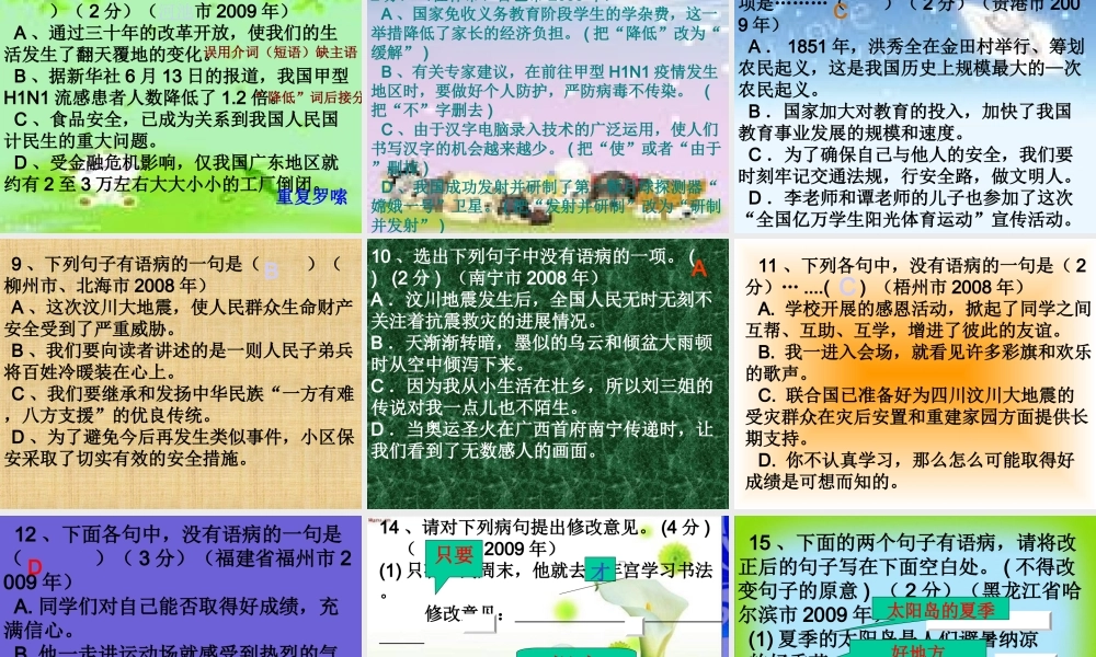 中考语文复习 病句修改课件