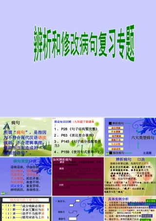 中考语文复习 病句修改课件