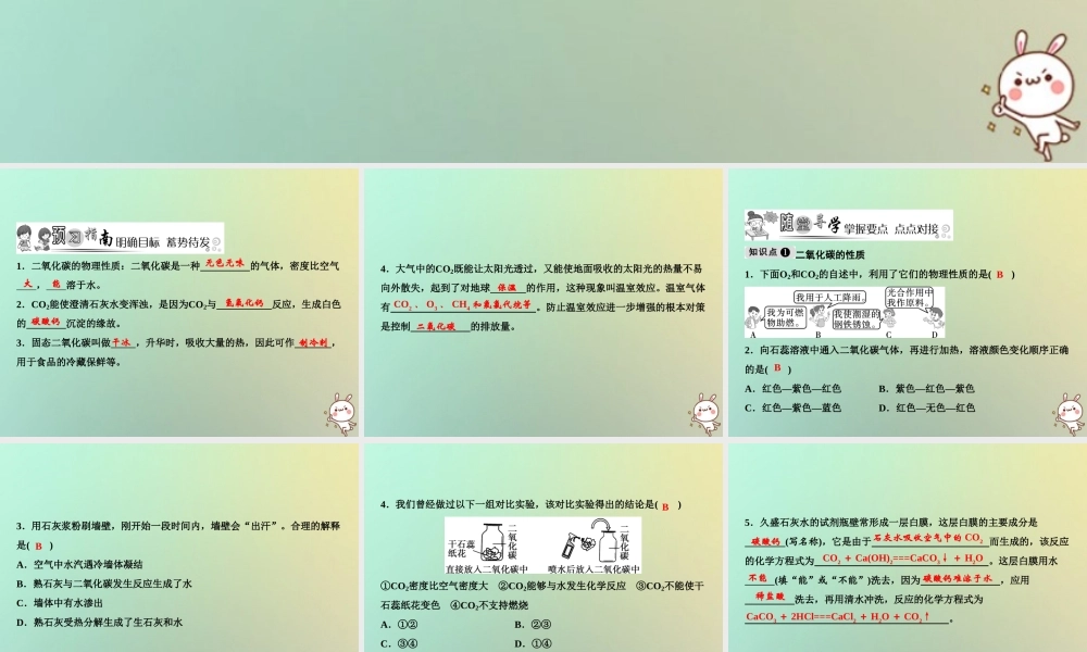 九年级化学上册 第6单元 碳和碳的氧化物 课题3 二氧化碳和一氧化碳 第1课时 二氧化碳作业课件 (新版)新人教版 课件