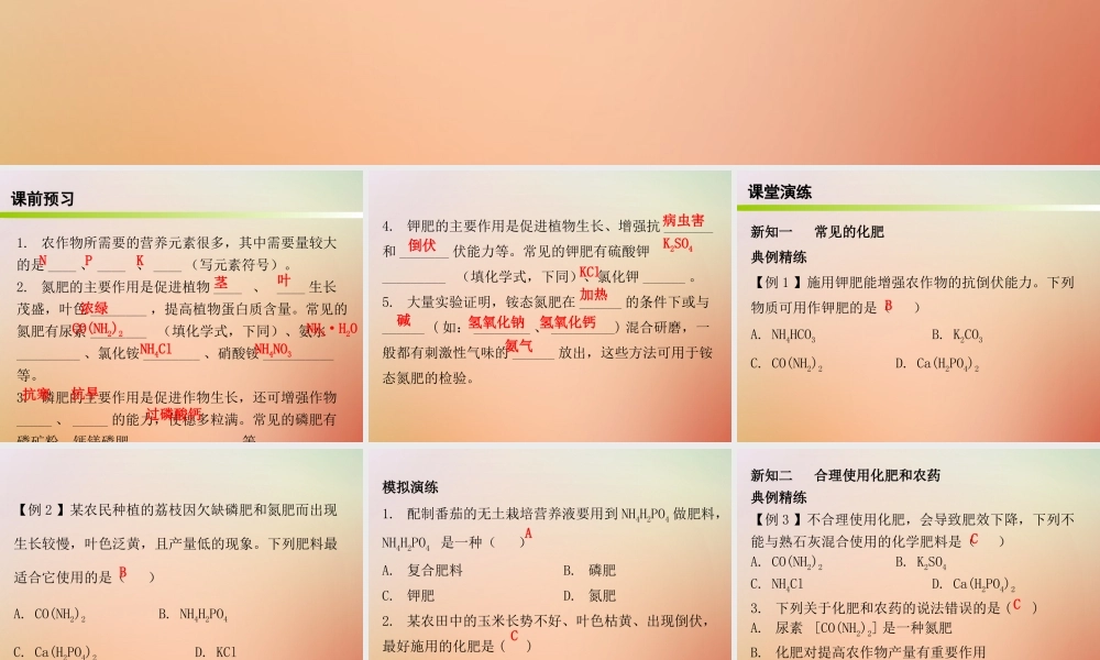九年级化学下册 第十一单元 盐 化肥 课题2 化学肥料(内文)课件 (新版)新人教版 课件