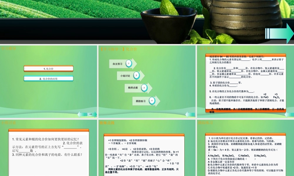 九年级化学上册 第四单元 自然界的水 课题4 化学式与化合价 第2课时 化合价课堂导学课件 (新版)新人教版 课件