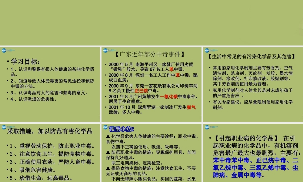 九年级化学下册 103 警惕危害健康的化学品课件 粤教版 课件