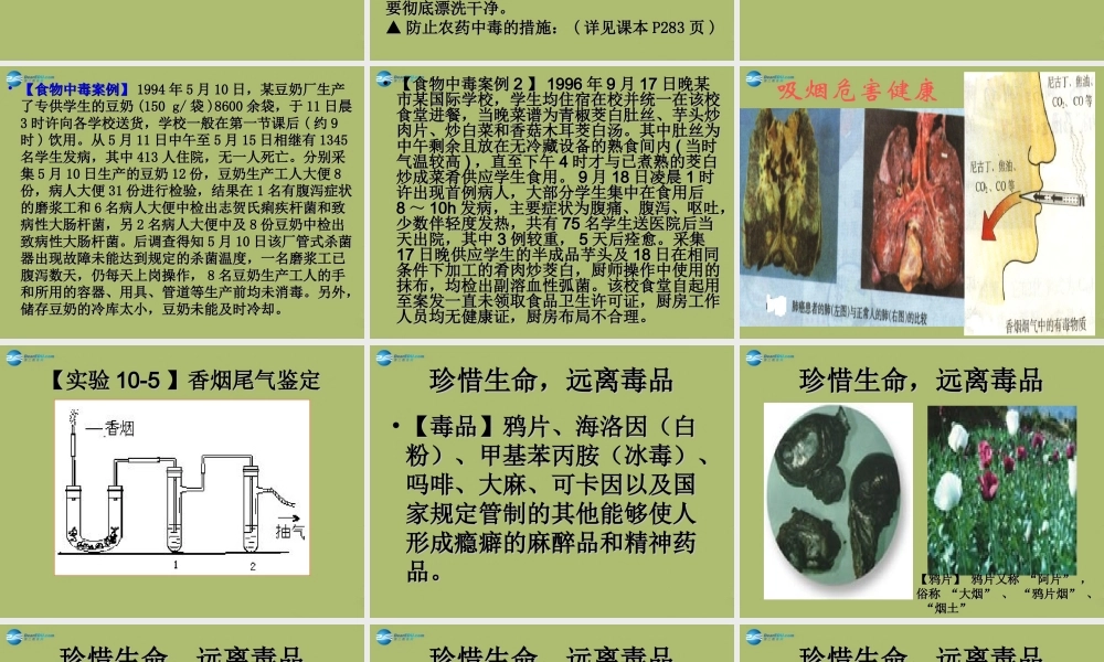 九年级化学下册 103 警惕危害健康的化学品课件 粤教版 课件