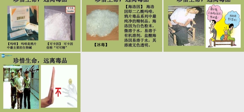 九年级化学下册 103 警惕危害健康的化学品课件 粤教版 课件