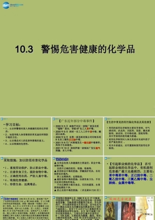 九年级化学下册 103 警惕危害健康的化学品课件 粤教版 课件