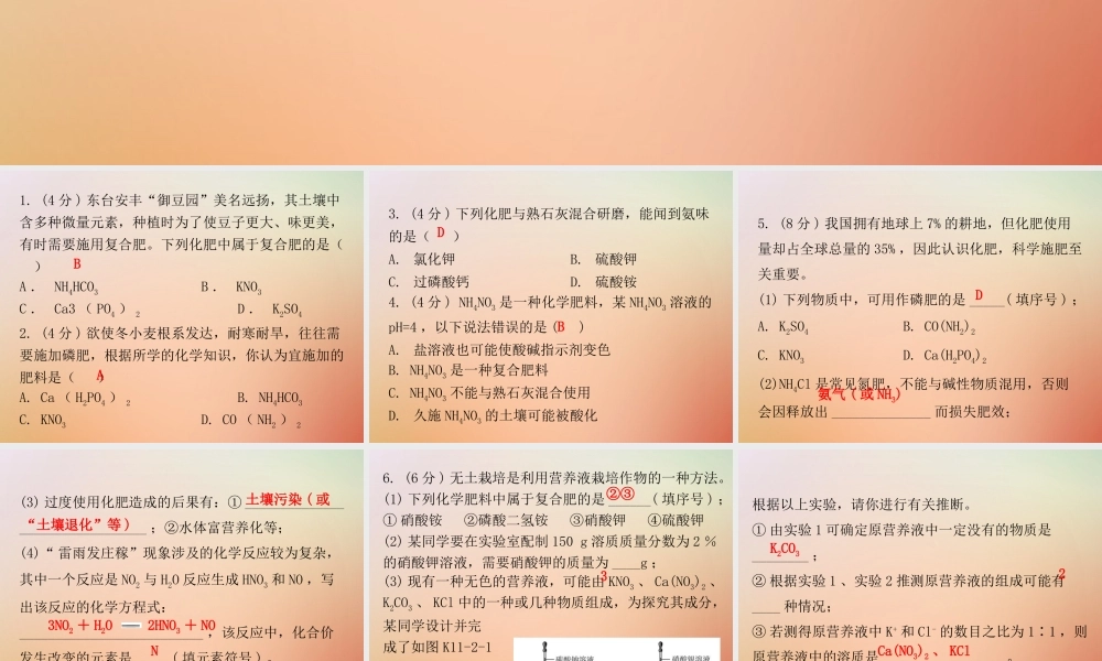九年级化学下册 第十一单元 盐 化肥 课题2 化学肥料(小测本)课件 (新版)新人教版 课件