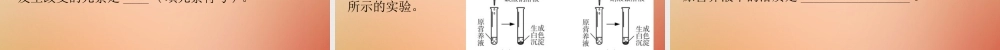 九年级化学下册 第十一单元 盐 化肥 课题2 化学肥料(小测本)课件 (新版)新人教版 课件