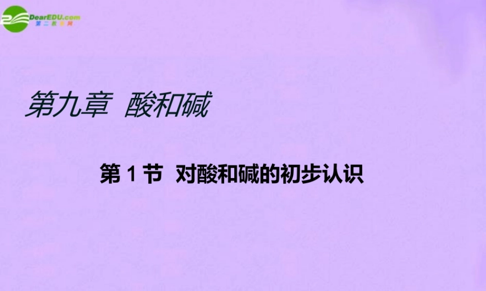 九年级化学第1节对酸和碱的初步认识课件 北京课改版 课件
