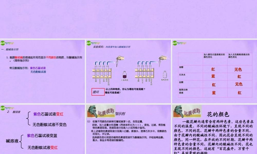 九年级化学第1节对酸和碱的初步认识课件 北京课改版 课件