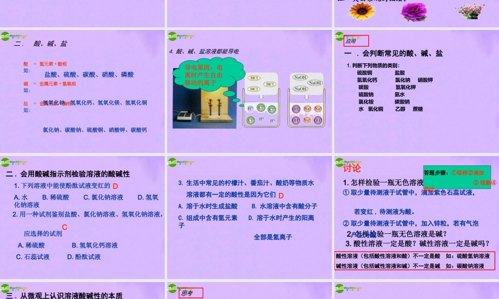 九年级化学第1节对酸和碱的初步认识课件 北京课改版 课件