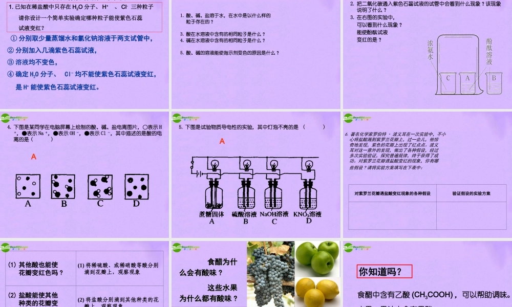 九年级化学第1节对酸和碱的初步认识课件 北京课改版 课件