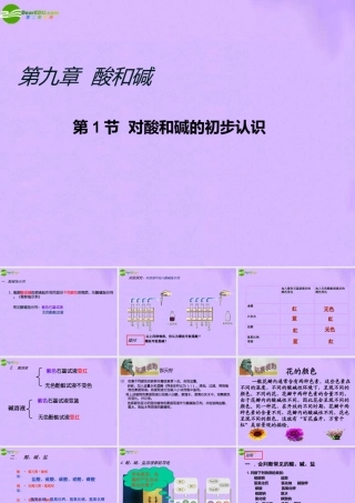 九年级化学第1节对酸和碱的初步认识课件 北京课改版 课件