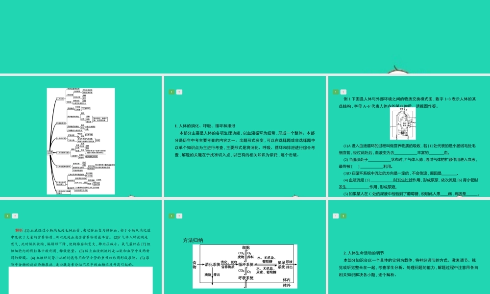 中考生物 专题4 生物圈中的人课件