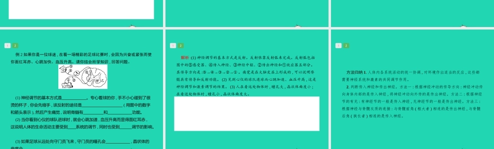 中考生物 专题4 生物圈中的人课件