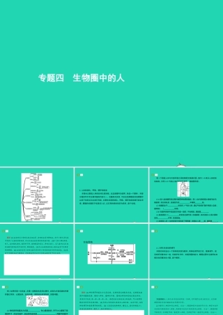 中考生物 专题4 生物圈中的人课件