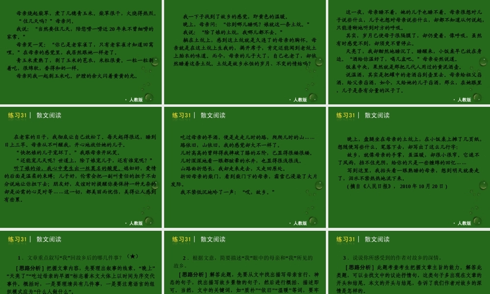 中考语文二轮复习 第二篇现代文阅读之散文小说课件 人教新课标版 课件