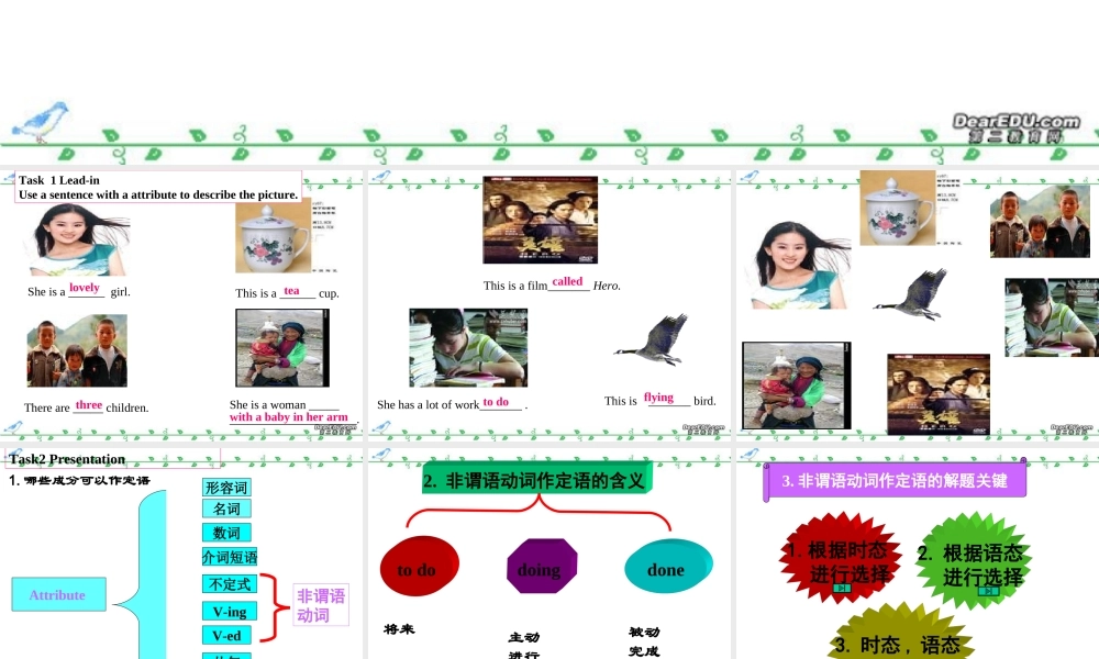 Attribute高三英语复习课件