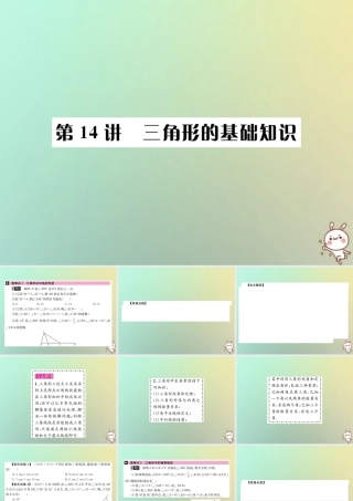 中考数学系统复习 第四单元 图形的初步认识与三角形 第14讲 三角形的基础知识课件