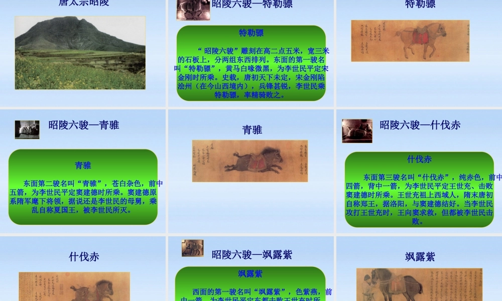 七年级历史下册 第一单元第2课贞观之治课件 人教新课标版 课件