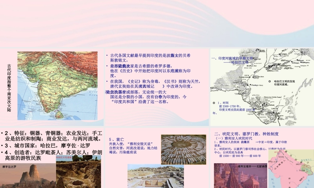 九年级历史上册 第一单元 古代亚非文明 第3课 古代印度 古代印度文明素材 新人教版 素材