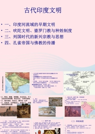 九年级历史上册 第一单元 古代亚非文明 第3课 古代印度 古代印度文明素材 新人教版 素材