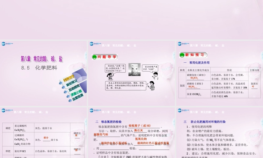九年级化学下册 85 化学肥料精品课件 (新版)粤教版 课件