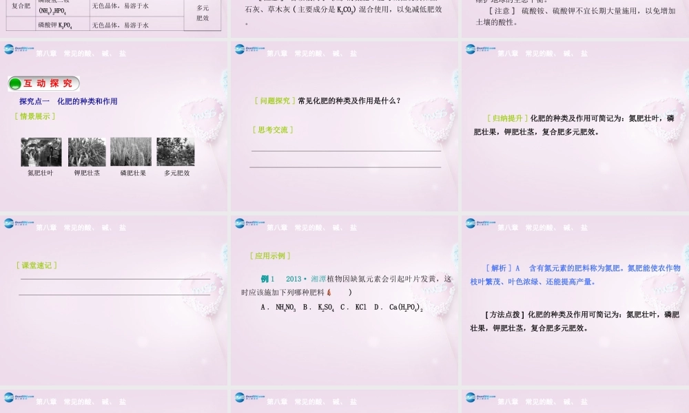 九年级化学下册 85 化学肥料精品课件 (新版)粤教版 课件