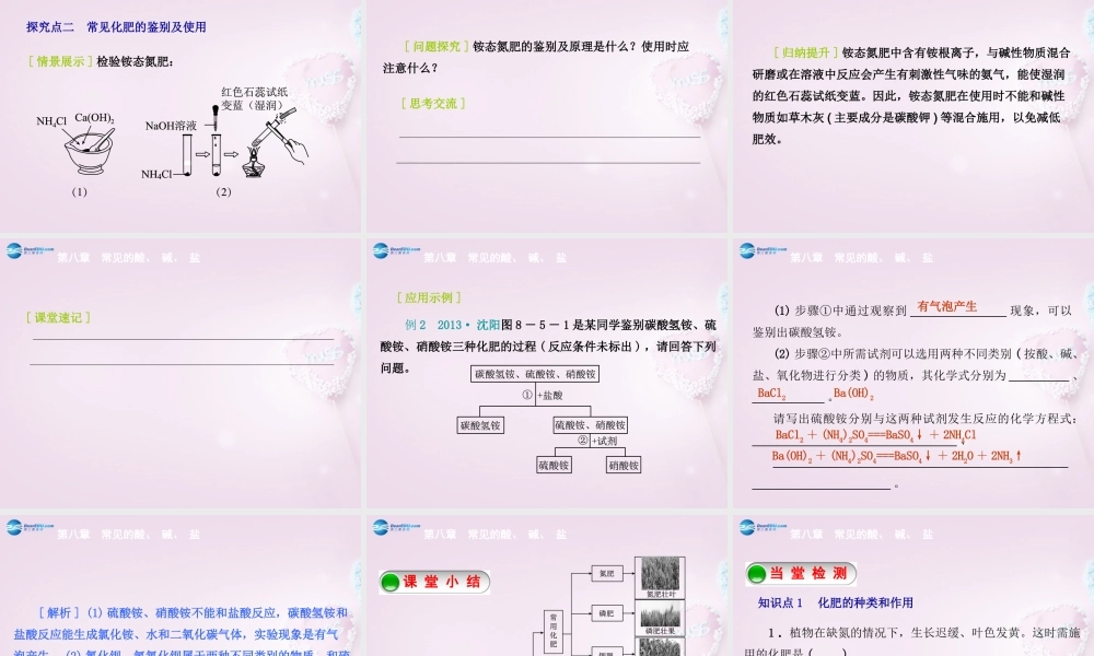 九年级化学下册 85 化学肥料精品课件 (新版)粤教版 课件