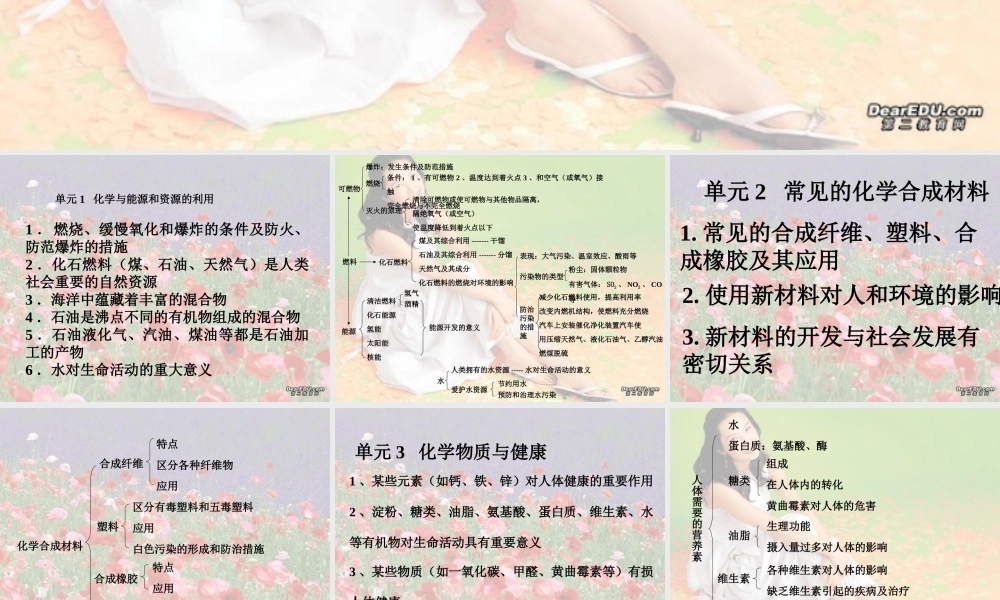 九年级化学化学与社会 课件