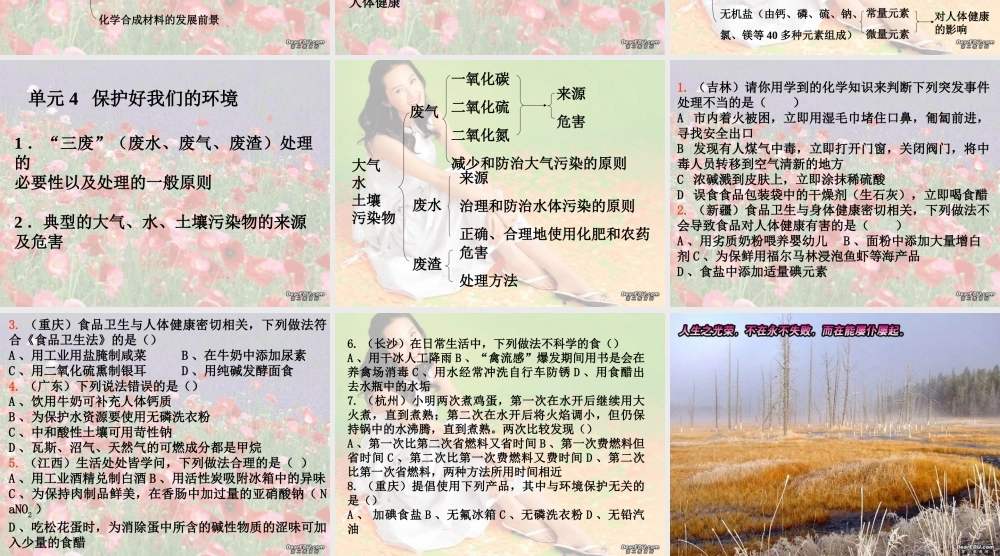 九年级化学化学与社会 课件