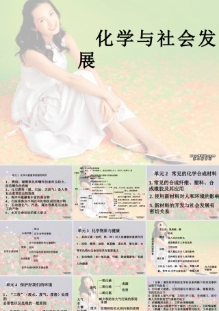 九年级化学化学与社会 课件