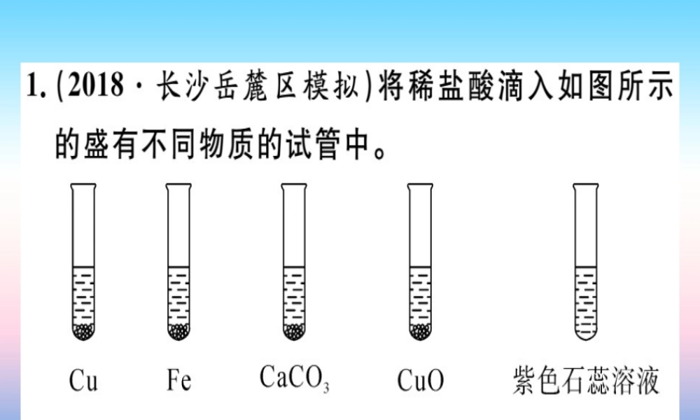 九年级化学下册 专题三 酸、碱的化学性质(实验)习题课件 新人教版 课件