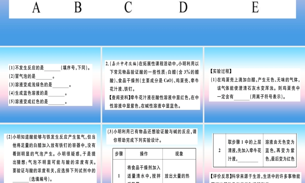 九年级化学下册 专题三 酸、碱的化学性质(实验)习题课件 新人教版 课件