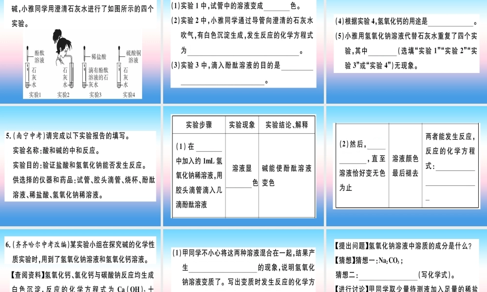 九年级化学下册 专题三 酸、碱的化学性质(实验)习题课件 新人教版 课件