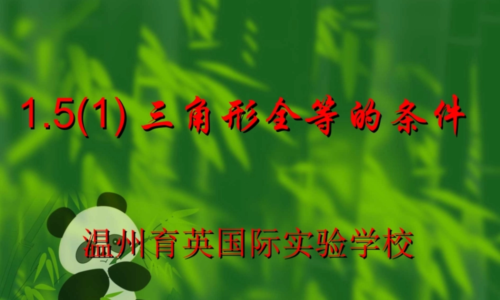 1.5全等三角形的条件(1) 初一数学第一章三角形的初步知识全章课件 浙教版
