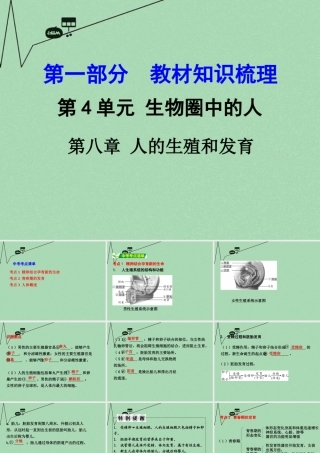 中考生物 第一部分 教材知识梳理 第4单元 第8章 人的生殖和发育复习课件 苏教版 课件