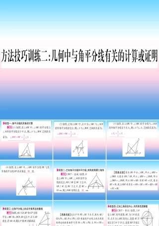 (湖北专版)中考数学总复习 第1轮 考点系统复习 第4章 三角形 方法技巧训练二 几何中与教平分线有关计算或证明习题课件