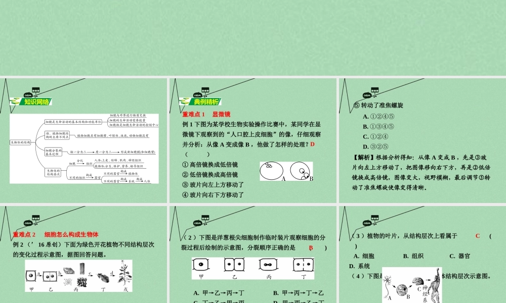 中考生物 第二部分 重点专题突破 专题二 生物体的结构层次复习课件 苏教版 课件