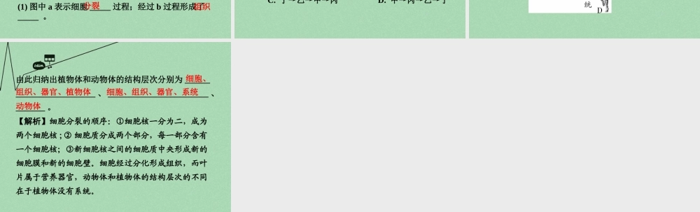 中考生物 第二部分 重点专题突破 专题二 生物体的结构层次复习课件 苏教版 课件
