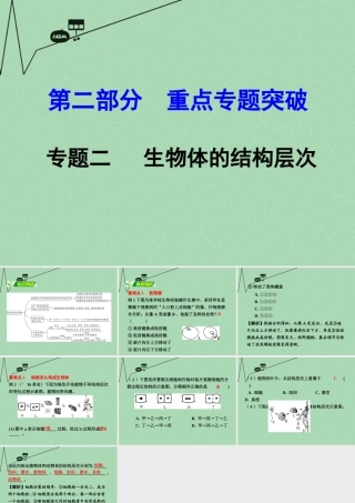 中考生物 第二部分 重点专题突破 专题二 生物体的结构层次复习课件 苏教版 课件