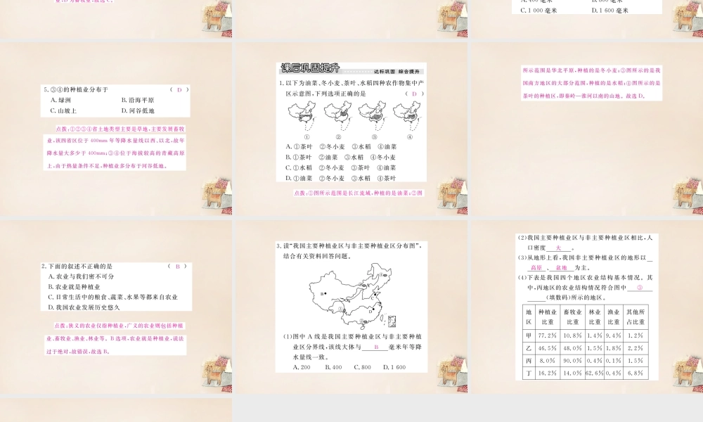 八年级地理上册 第四章 第一节 农业课件 (新版)湘教版 课件