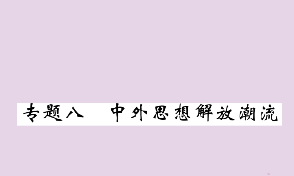 中考历史总复习 第二编 热点专题突破 专题8 中外思想解放潮流课件