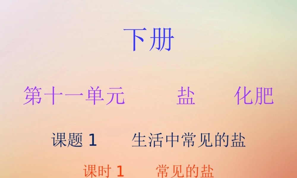 九年级化学下册 第十一单元 盐 化肥 课题1 生活中常见的盐 课时1 常见的盐(内文)课件 (新版)新人教版 课件