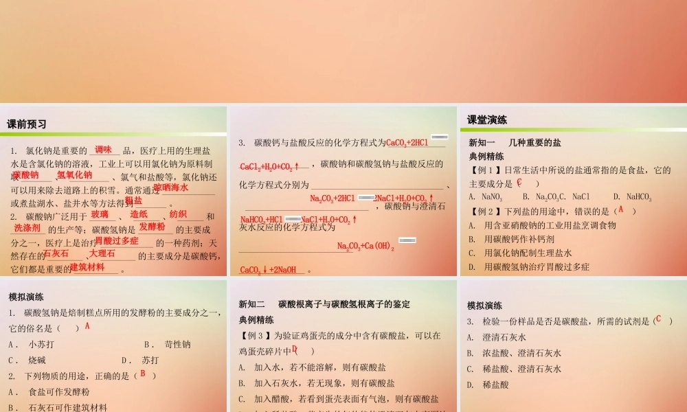 九年级化学下册 第十一单元 盐 化肥 课题1 生活中常见的盐 课时1 常见的盐(内文)课件 (新版)新人教版 课件
