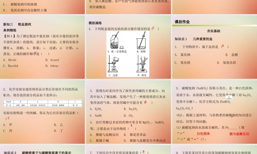 九年级化学下册 第十一单元 盐 化肥 课题1 生活中常见的盐 课时1 常见的盐(内文)课件 (新版)新人教版 课件